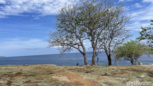 Keindahan alam di Bali timur tak pernah ada habisnya. Jika bosan menikmati pemandangan dari dataran rendah, traveler wajib mencoba ke Bukit Asah. Cantiknya kelewatan!