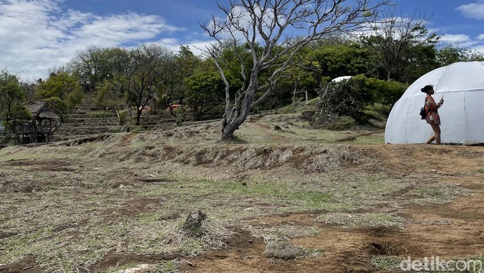 Memandang Laut dari Ketinggian di Bukit Asah, Cantiknya Kelewatan! Keindahan alam di Bali timur tak pernah ada habisnya. Jika bosan menikmati pemandangan dari dataran rendah, traveler wajib mencoba ke Bukit Asah. Cantiknya kelewatan!