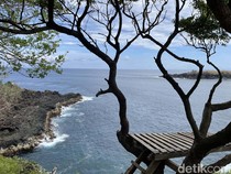 Memandang Laut dari Ketinggian di Bukit Asah, Cantiknya Kelewatan!