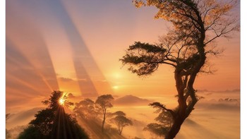 Meme kekalahan Barcelona. Foto: X