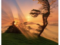 Meme Kocak Barcelona Digebuk Girona Si Raja Catalunya Baru