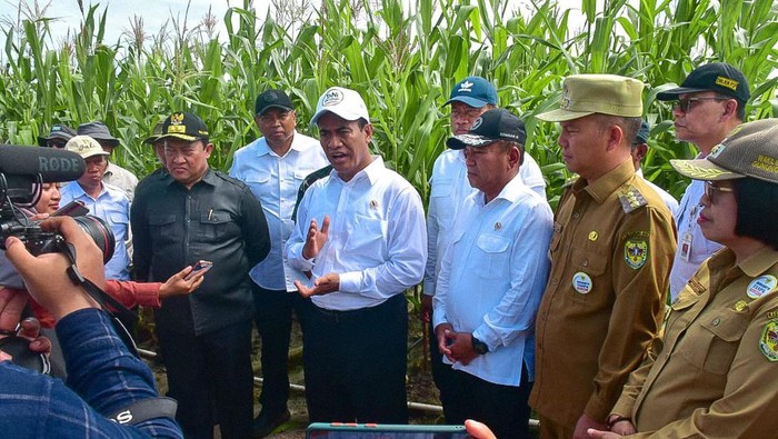 Mentan dan Wamenhan Cek Food Estate di Gunung Mas, Kalteng.
