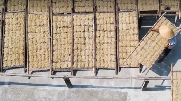 Mie Lethek Khas Bantul Disebut 'Terjelek' Sedunia, Ini Alasannya