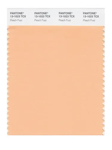Peach Fuzz, tren warna 2024 versi Pantone.