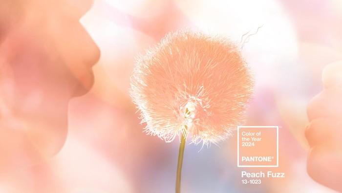 Peach Fuzz, tren warna 2024 versi Pantone.