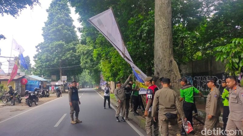 Baliho Capres Caleg Di Pohon Dan Tiang Dicopot Bawaslu Satpol Pp Bogor 