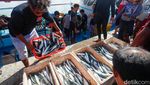 Potret Aktivitas Jual Beli Ikan Pelabuhan Tobelo
