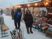 Bukan Permukiman di Antartika, Ini Kota Terdingin di Muka Bumi