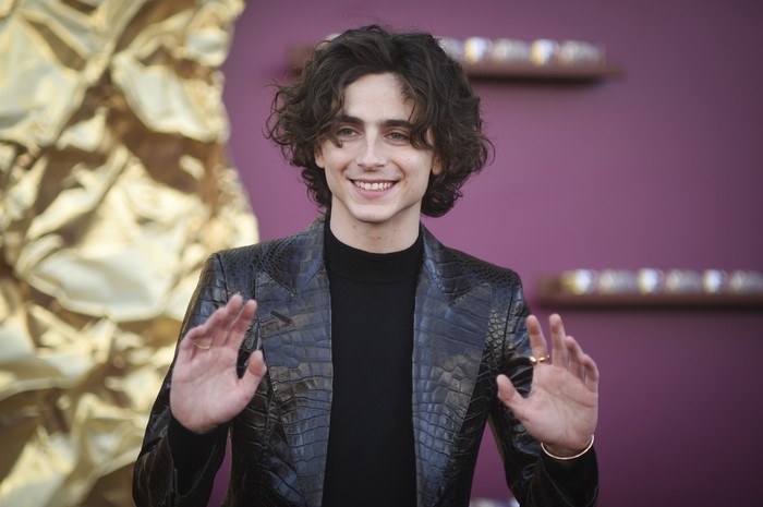 Timothee Chalamet arrives at the premiere of 