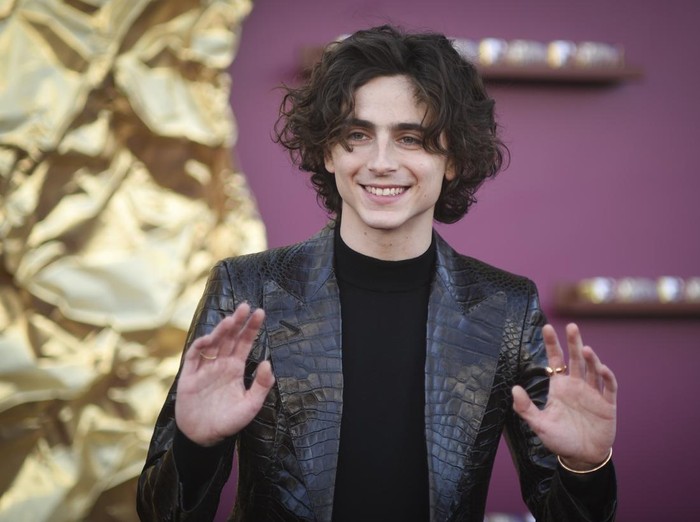 Timothee Chalamet arrives at the premiere of Wonka on Sunday, Dec. 10, 2023, at Regency Village Theatre in Westwood, Calif. (Photo by Richard Shotwell/Invision/AP)