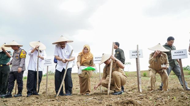 Wantimpres Pakde Karwo berkunjung ke Lamongan untuk melihat tantangan produksi kedelai.