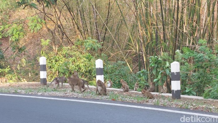 Wisata Keramat Plangon Cirebon.