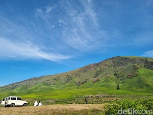Melihat Keindahan Hamparan Karpet Hijau Bromo Pasca Terbakar