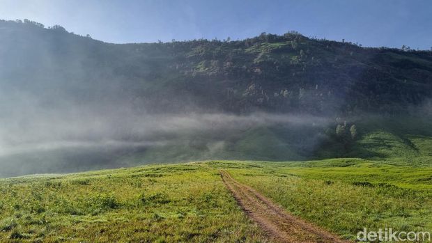Kawasan Taman Nasional Bromo Tengger Semeru (TNBTS), Kamis (7/12/2023).
