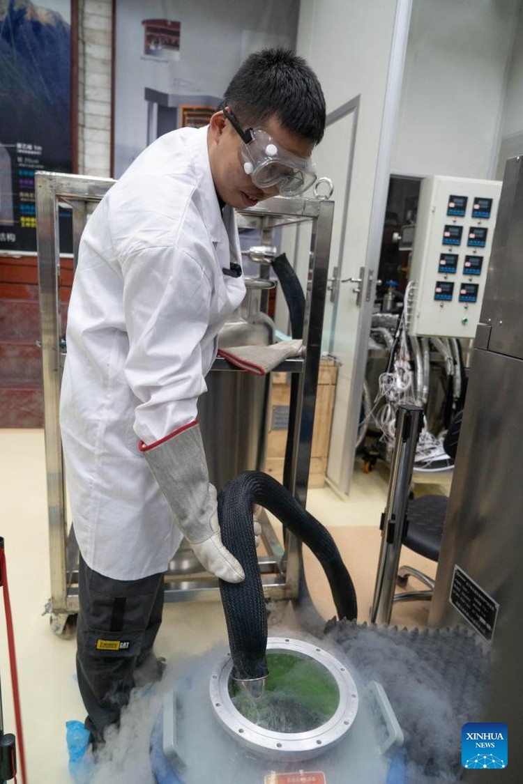 China Jinping Underground Lab
