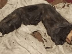 Foto Misterius yang Tidak Bisa Dijelaskan, Bikin Merinding dan Takut