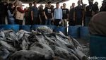 Potret Gibran Blusukan ke Pasar Ikan Modern Muara Baru