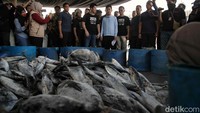 PutraPresiden Jokowi itu juga menyambangi dermaga Muara Baru dan menemui para nelayan. Gibran melihat langsung ikan-ikan yang telah dibekukan untuk didistribusikan.  