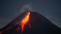 Menurut data BPPTKG periode pengamatan 11 Desember 2023 pukul 00.00-24.00 WIB telah terjadi 24 kali guguran lava dengan jarak luncuran maksimal 1.900 meter ke Kali Bebeng dan tiga kali guguran lava dengan jarak luncur 1.000 meter ke arah Kali Boyong. 
