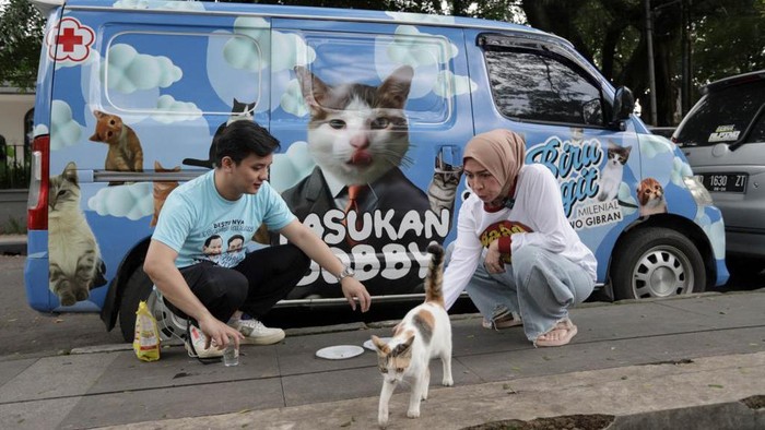 Melly Goeslaw saat menyelamatkan kucing jalanan.