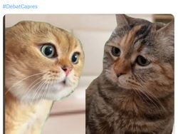 Serunya Debat Capres 2024 Dalam Aneka Meme dari Netizen