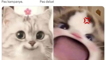 Meme kucing dipakai netizen untuk menggambarkan para kandidat capres yang manis saat berkampanye, lalu adu argumen saat debat capres. Foto: Twitter
