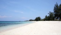 Di sepanjang tepi pantai, pohon cemara hijau yang rindang membentang dan angin sepoi-sepoi memberikan kesegaran tersendiri.
