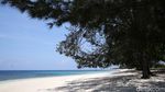 Potret Pantai Puru Kambera, Surga Tersembunyi di Sumba Timur