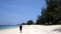 Saat detikcom berkunjung kesana tidak ada rombongan lain yang berada disana hal ini menjadikan seperti berwisata di pantai milik pribadi.
