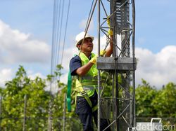 Perjuangan Teknisi BTS Jaga Sinyal di Halmahera Utara