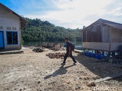 Perjuangan Teknisi BTS Jaga Sinyal di Halmahera Utara
