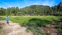 Kabupaten Halmahera Utara, Provinsi Maluku Utara, menjadi salah satu wilayah penghasil rempah, seperti pala dan cengkeh. Pala adalah primadonanya. Salah satu wilayah penghasil pala ada di Pulau Doi, Loloda Kepulauan, di Halmahera Utara.   