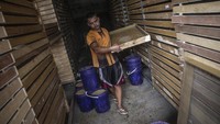 Hasil panen dari budi daya ulat tersebut dijual bervariasi untuk pakan ternak burung sesuai dengan jenisnya mulai dari harga Rp40 ribu - Rp50 ribu.