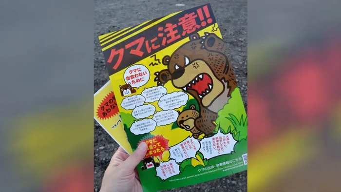Serangan beruang di Jepang
