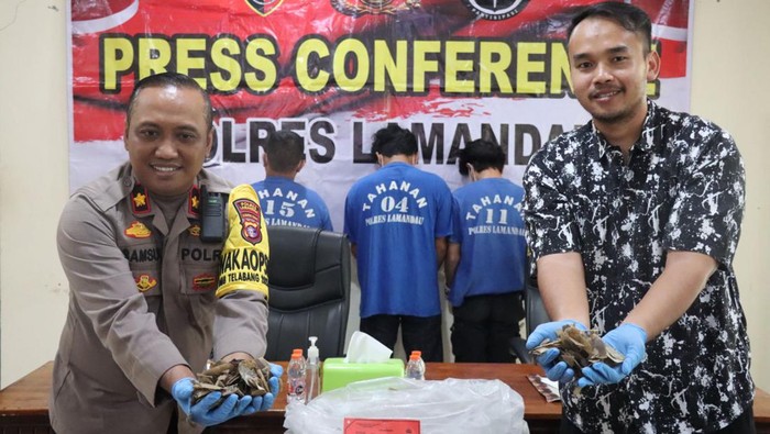 Polisi menggagalkan penyelundupan 223 kilogram sisik trenggiling dari Kalimantan Barat (Kalbar) ke Kalimantan Tengah (Kalteng).