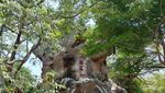Roaaar! Planet Dinosaurus di Taiwan Bikin Deg-degan