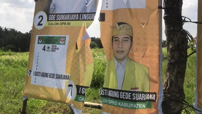 Sejumlah APK para caleg Partai Golkar yang dipasang di Kecamatan Abiansemal, Badung, diduga dirusak, Rabu (13/12/2023).