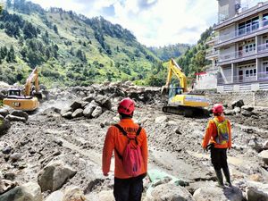 Korban Tewas Banjir-Longsor di Sumut Bertambah Jadi 375 Orang, Hilang 41