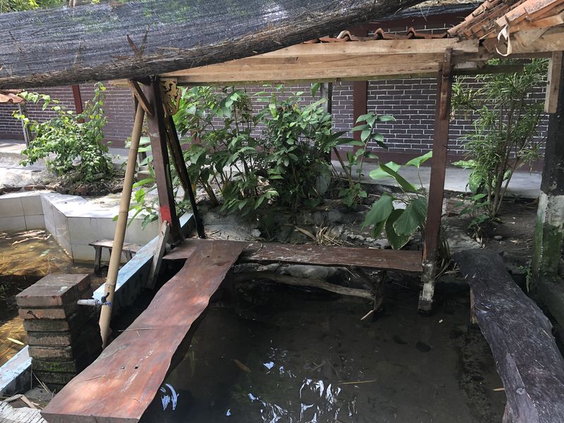 Tempat Relaksasi Ikan di Blue Lagoon Jogja.