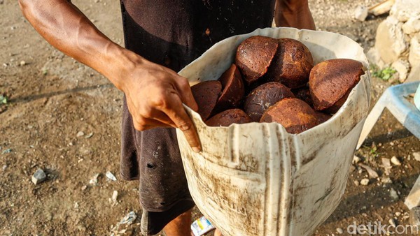 Internet Bikin Bisnis Gula Aren di Halut Makin Tokcer