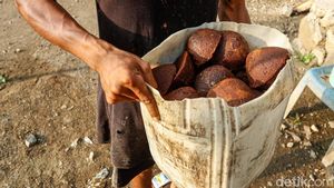 Internet Bikin Bisnis Gula Aren di Halut Makin Tokcer