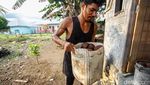 Internet Bikin Bisnis Gula Aren di Halut Makin Tokcer