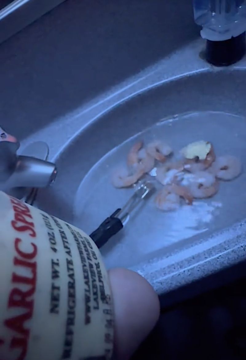 Iseng! Pria Ini Masak Udang Mentah di Toilet Pesawat