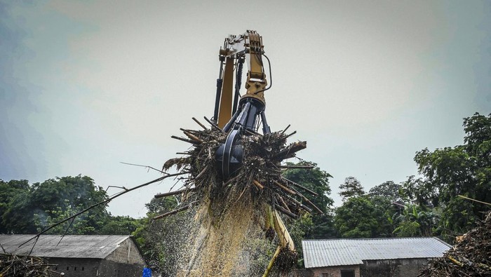 Petugas kebersihan DKI Jakarta menebar pupuk kompos ke tanaman kangkung di kawasan Saringan Sampah segmen TB Simatupang, Jagakarsa, Jakarta.