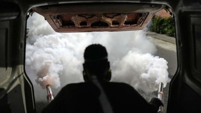 Perang Terhadap DBD di Venezuela