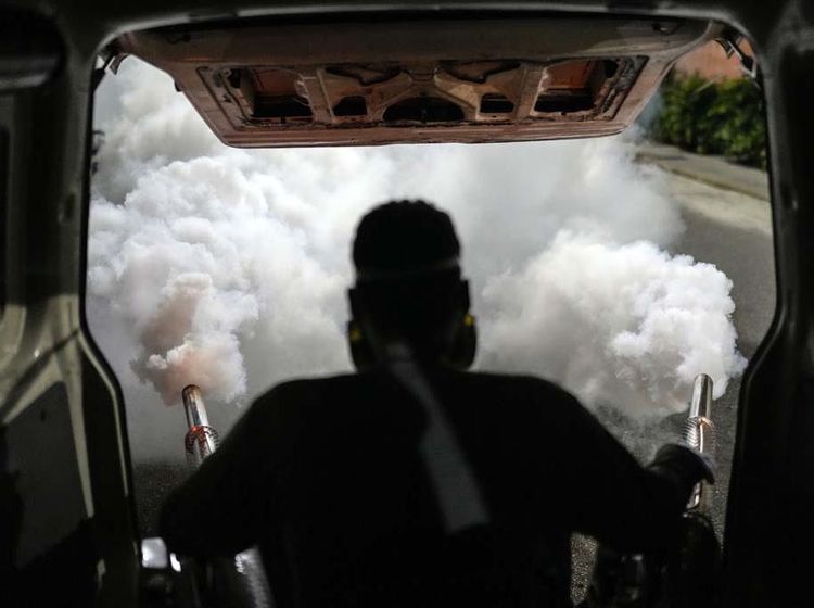 Perang Terhadap DBD di Venezuela