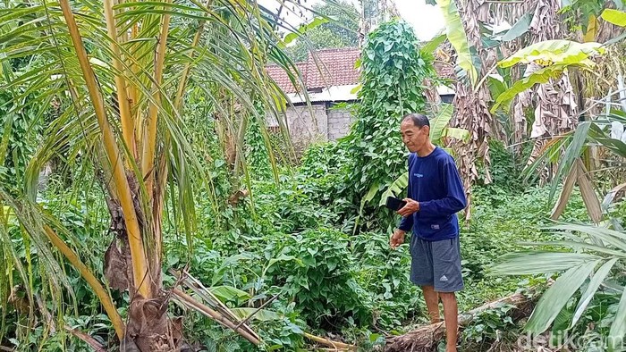 Putu Windhu menunjukkan lokasi sosok misterius mengendap sebelum anaknya disekap di belakang rumah.