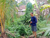 Pengakuan Ayah Siswi SMK Korban Penyekapan di Tabanan Bali