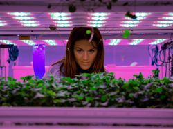 Simulasi Kebun Masa Depan Saat Manusia Tinggal di Mars