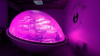 Interstellar Lab founder and CEO Barbara Belvisi poses inside a BioPod module, a high-tech greenhouse controlled by artificial intelligence designed to grow plants and develop agriculture, to fight against climate change and in preparation for future life on Mars, at Interstellar Lab in Ivry-sur-Seine near Paris, France, November 27, 2023. REUTERS/Gonzalo Fuentes     TPX IMAGES OF THE DAY